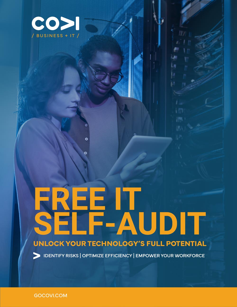 FREE IT SELF-AUDIT